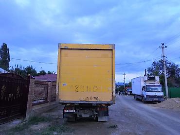 Тягачи: Тягач, MAN, Изотермический — 2