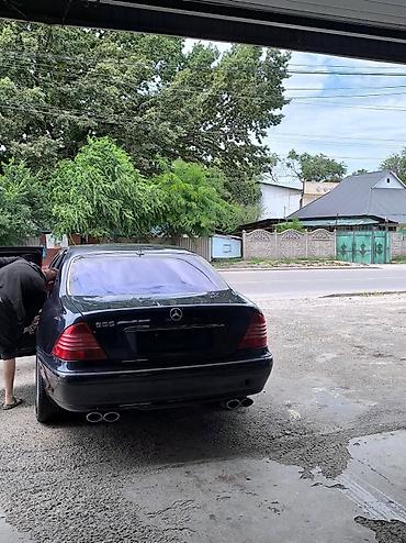 rox 01: Mercedes-Benz S-Class: 2000 г., 5 л, Автомат, Газ, Седан — 2