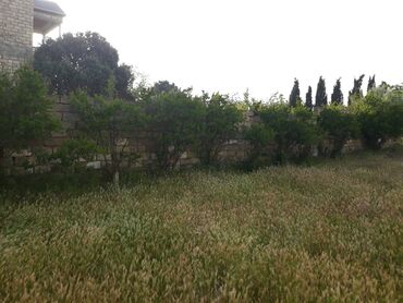 Torpaq sahələrinin satışı: 12 sot, Makler, Kupça (Çıxarış) — 4