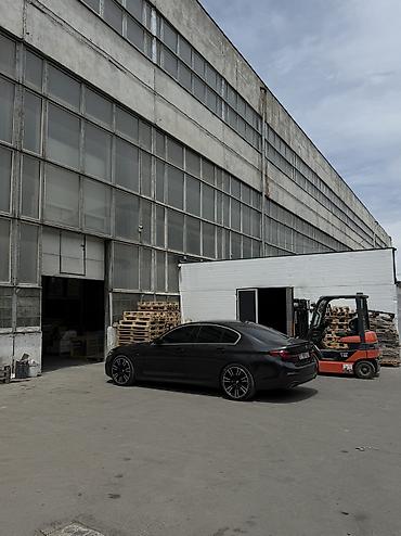 bwm e39: BMW 5 series: 2019 г., 2 л, Автомат, Бензин, Седан — 2