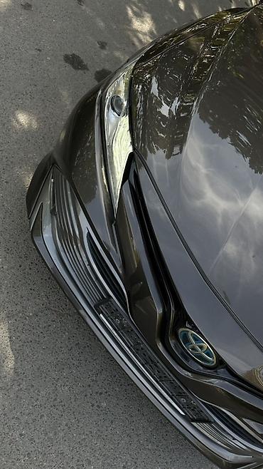 тайота в: Toyota Camry: 2019 г., 2.5 л, Автомат, Гибрид, Седан — 3