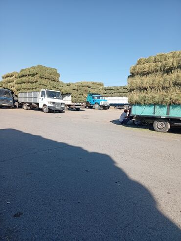 продажа кормов для сельскохозяйственных животных: Сено в тюках - Прямоугольные тюки плотной прессовки, аккуратно
