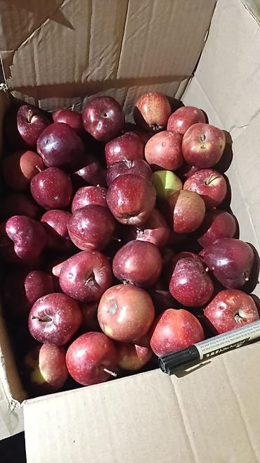Продукты питания: Яблоки В розницу — 2