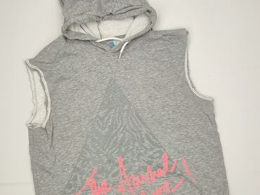 tommy hilfiger sweter: Hoodie for men, L (EU 40), Chillin, condition - Very good