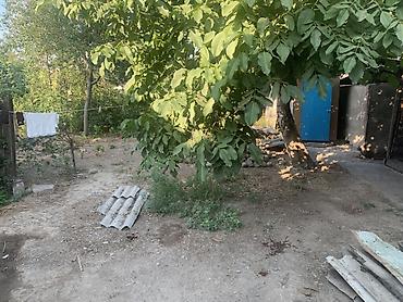 Үйлөр: Дом с участком и хозяйственными постройками - Кирпичный/каменный — 5