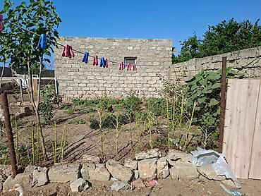 Torpaq sahələrinin satışı: 12 sot, Tikinti, Mülkiyyətçi — 13