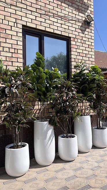 солнечные лампы: Instagram:Mayram.decor.kg Искусственные растения в кашпо для дома — 6