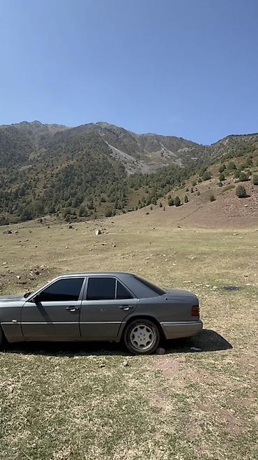 реснички е34: Mercedes-Benz W124: 1995 г., 2 л, Механика, Бензин, Седан — 2