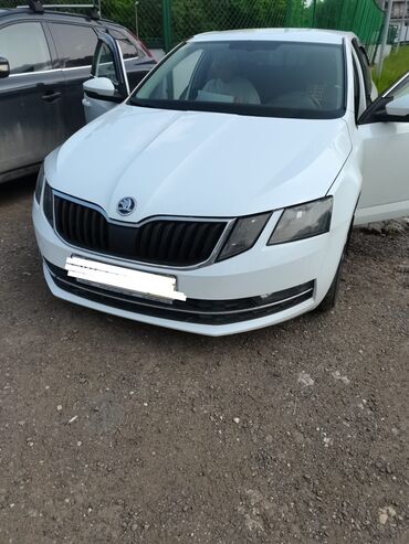 радиатор на опель вектра б: Skoda Octavia: 2018 г., 1.4 л, Автоматтык, Бензин