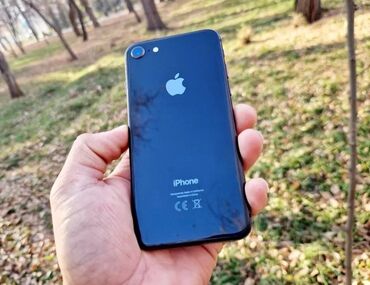 Apple iPhone: IPhone 8, Б/у, 128 ГБ, Черный, Чехол, 100 % — 6