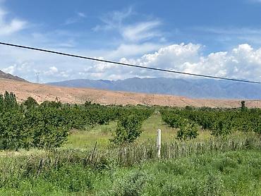 Продажа коттеджей и домов: Продаётся дом на иссык-куле+ магазин+7 гектаров земли рядом с домом — 16