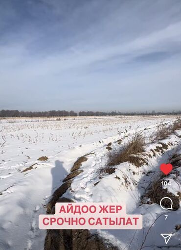 поливной жер: 2000 соток, Для сельского хозяйства, Договор купли-продажи