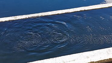 Torpaq sahələrinin satışı: 300 sot, Kənd təsərrüfatı, Mülkiyyətçi, Texniki pasport, Kupça (Çıxarış) — 4