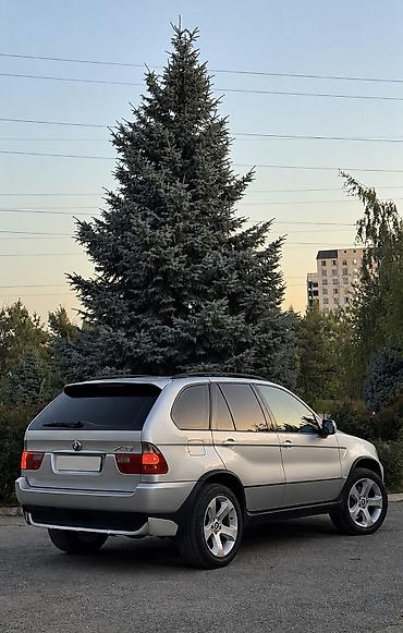 Продажа авто: BMW X5: 2004 г., 3 л, Автомат, Дизель, Кроссовер — 5