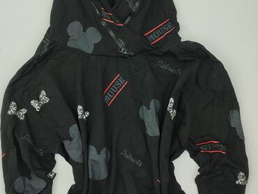 kapcie z kubusiem puchatkiem: Women`s hoodie, size 7XL