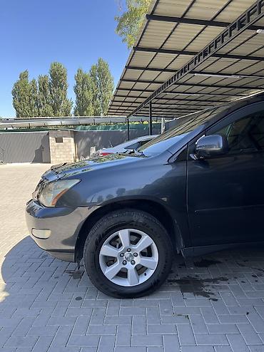 Lexus: Lexus RX: 2004 г., 3.3 л, Автомат, Бензин — 14
