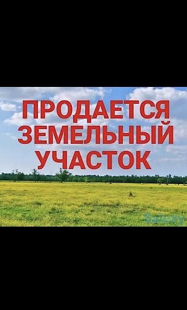 jack 4: 4 соток, Для строительства, Красная книга — 1