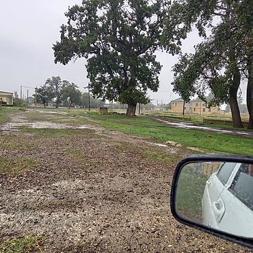 bine qəsəbəsi: 5 sot, Biznes üçün, Kupça (Çıxarış) — 5