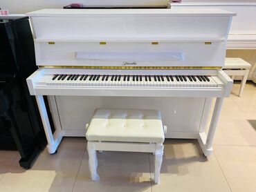 Pianolar: Piano akustik Ritmuller Pearl River Royal musiqi alətleri salonu — 5