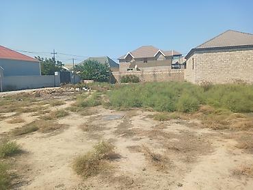 karavan satışları: 4 sot, Kənd təsərrüfatı, Mülkiyyətçi, Kupça (Çıxarış) — 2