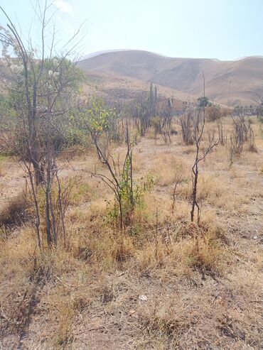 Продажа участков: 5 соток, Для строительства, Красная книга, Договор купли-продажи — 8