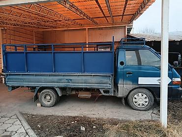 Легкий грузовой транспорт: Легкий грузовик, Hyundai, Стандарт — 5