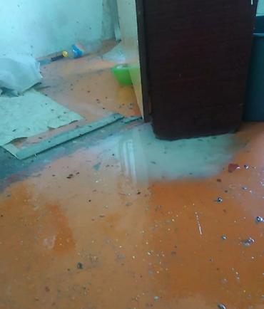 Дезинфекция, дезинсекция: Дезинфекция, дезинсекция, | Клопы, Блохи, Тараканы, | Транспорт, Офисы, Квартиры — 5