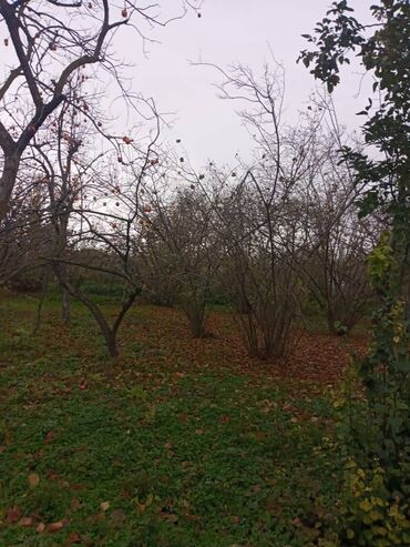 Həyət evləri və villaların satışı: 4 otaqlı, 110 kv. m, Kredit yoxdur, Təmirsiz — 3