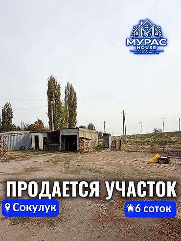 участо: 6 соток, Курулуш — 1