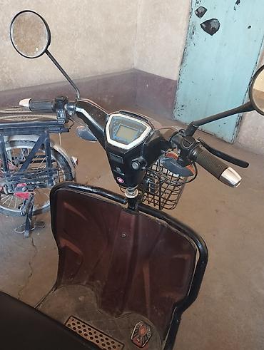 мопед алфа: 🛵 Продается трехколесный мопед Отличный вариант для ежедневных — 2