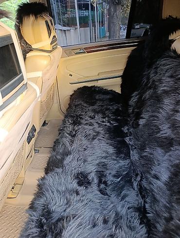 10 регион машины: Mercedes-Benz GL-Class: 2007 г., 5.5 л, Автомат, Бензин, Внедорожник — 5