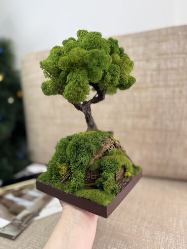 Декоративные цветы: Деревья-бонсай из натурального стабилизированного мха🌳 -это — 41