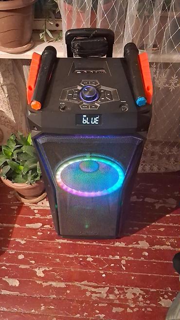 aux bluetooth: Hoffmann portativ səsgücləndirici (party speaker) - Güclü iki yollu — 2