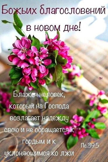 компьютерные курсы бишкек для начинающих: Английский язык и итальянский индивидуально с выездом на дом или