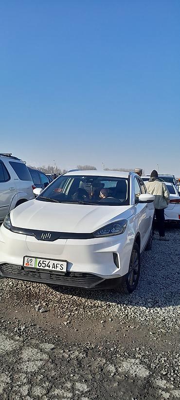 Weltmeister: Weltmeister EX5, 2021 г., 92 км, В наличии — 10