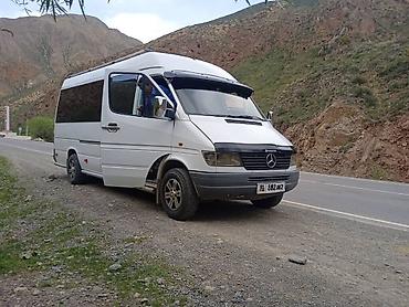 Такси: Автобус заказ — 8