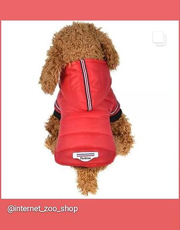 Зоотовары: Одежда для кошек и собак. Все НОВОЕ РАЗМЕР И ЦЕНА УКАЗАНЫ НА ФОТО — 11
