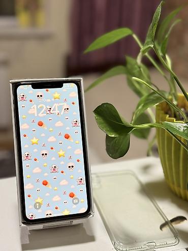 Apple iPhone: IPhone Xs Max, 64 GB, Space Gray, Face ID — 1