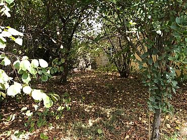 Günlük kirayə evlər: 60 kv. m, 2 otaqlı, Su — 16