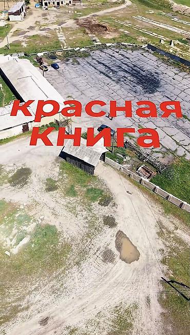 Продажа участков: 81 соток, Для бизнеса, Красная книга — 3