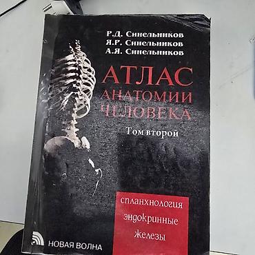 ххх мир: Атлас анатомии человека 4 тома — 4