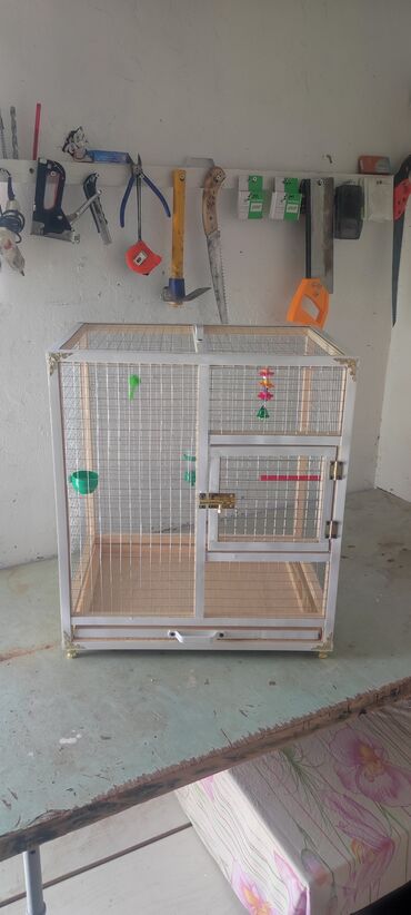 Qaşıqlar: Papuqay,dovşan,hamster,şinşila,bildirçin,cücə,xamyak,pişik,quş,tısbağa
