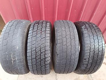 Шиналар жана дисктер: 265/70 r16

terraflex grandpower a/t

цена без торга — 4