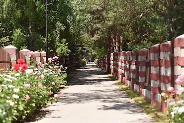 Продажа квартир: 2 комнаты, 45 м², 6 этаж — 2