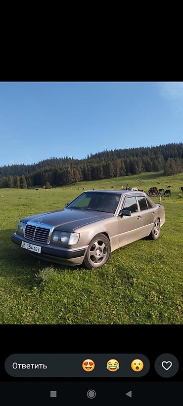 bud e9: Mercedes-Benz W124: 1992 г., 2.2 л, Механика, Бензин, Седан — 1