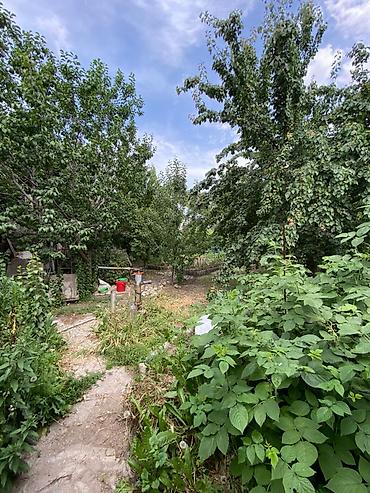 Продажа коттеджей и домов: Продается ДОМ 4 комнатный дом со всеми условиями с евроремонтом at lalafo.kg — 5 Продажа коттеджей и домов: Продается ДОМ 4 комнатный дом со всеми условиями с евроремонтом — 5