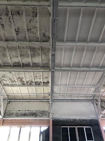 Покраска: Покраска стен, Покраска потолков, Покраска окон, На масляной основе, На водной основе, Больше 6 лет опыта — 7