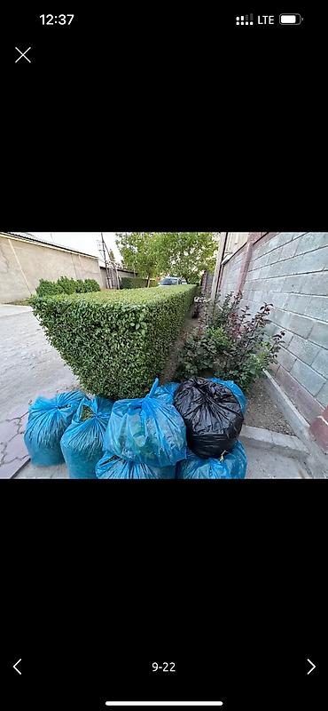 Дворники, садовники: 🌱Я Садовник Генеральный уборка сада Сеем газон под ключ Посев газон — 8