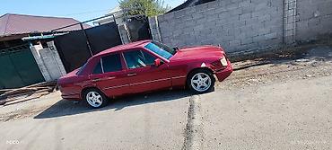 mers 202: Mercedes-Benz E-Class: 1994 г., 2.9 л, Автомат, Дизель, Седан — 5