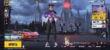 Башка аксессуарлар: Игровой аккаунт PUBG MOBILE с богатой коллекцией скинов и косметики — 6